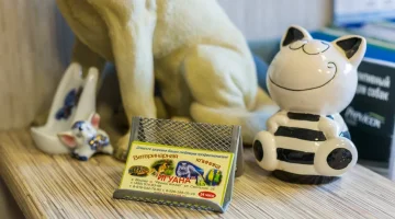 Ветеринарная клиника Игуана изображение 10