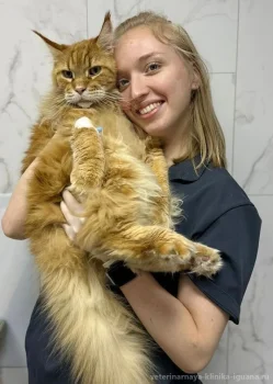 Светлова Анна Кирилловна